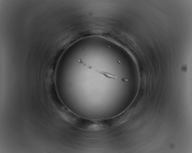 X0000102490364200808081334