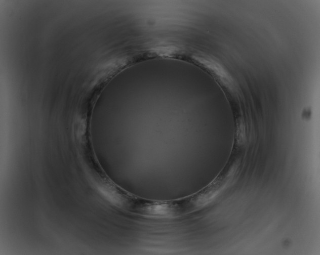 X0000102490365200808081334