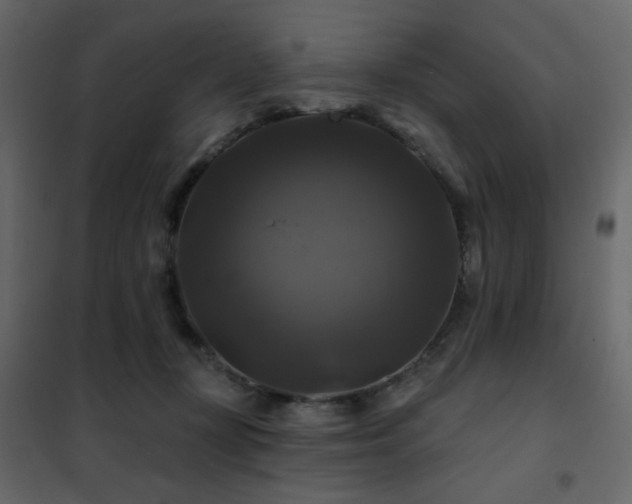 X0000102490367200808081334
