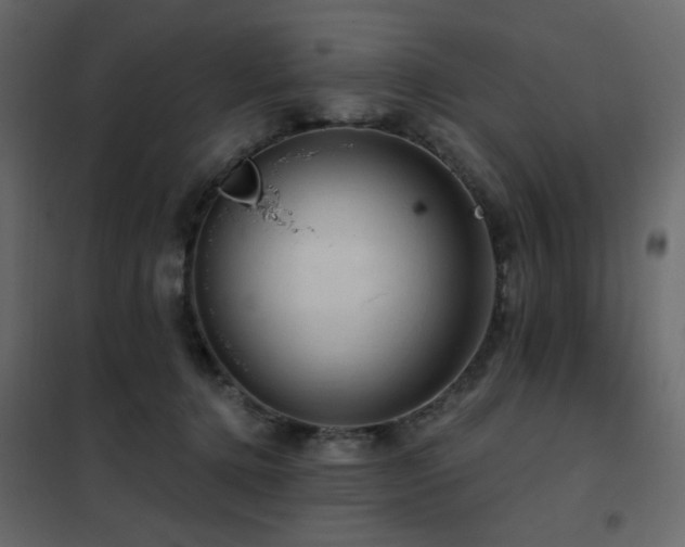 X0000102490368200808081334