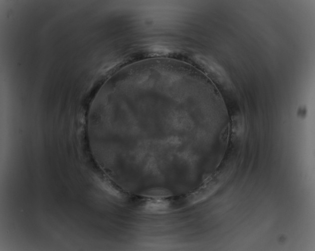 X0000102490369200808081334