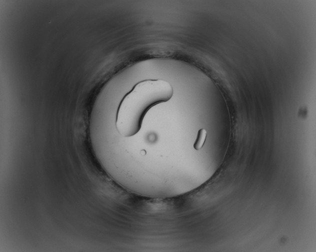 X0000102490370200808081334