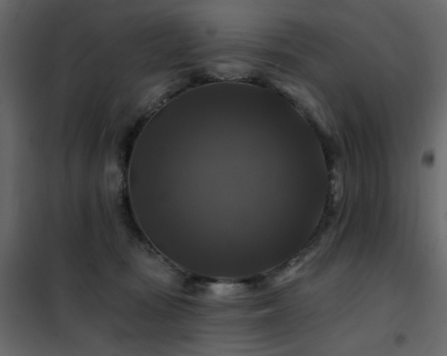 X0000102490371200808081334