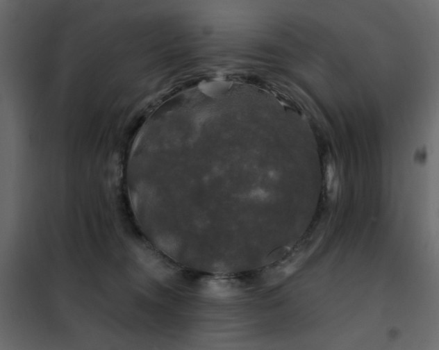 X0000102490372200808081334