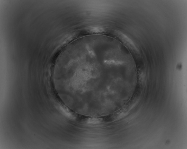 X0000102490373200808081334