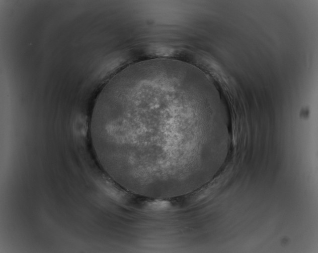 X0000102490374200808081334