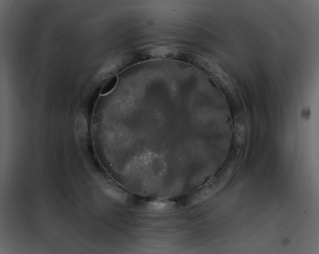 X0000102490375200808081334