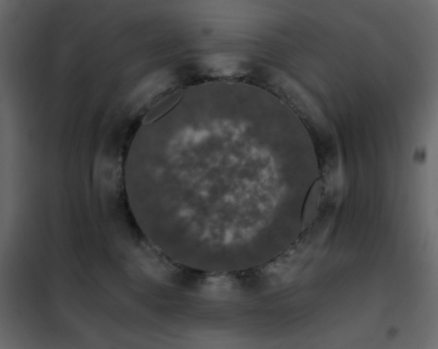 X0000102490376200808081334