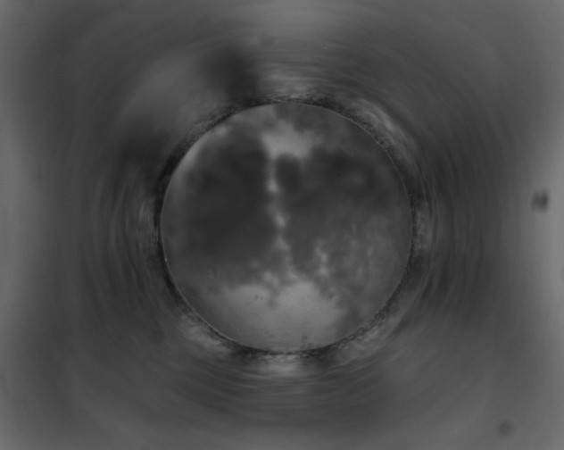 X0000102490377200808081334