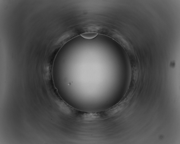 X0000102490378200808081335