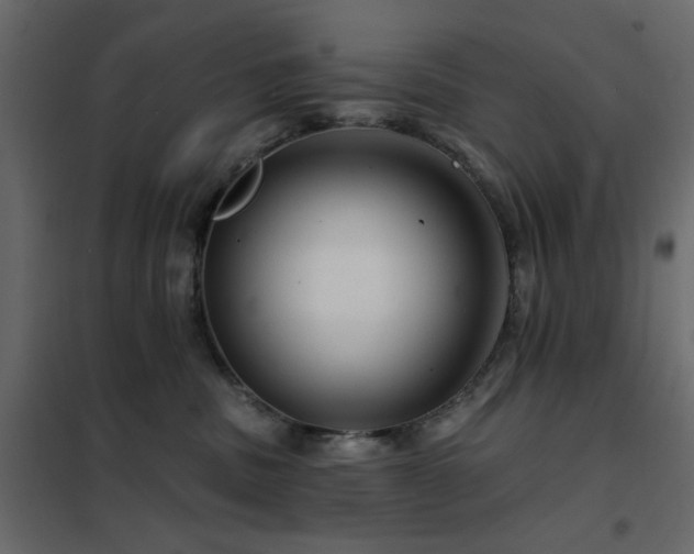 X0000102490379200808081335