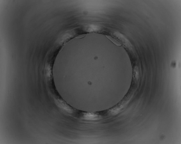 X0000102490380200808081335