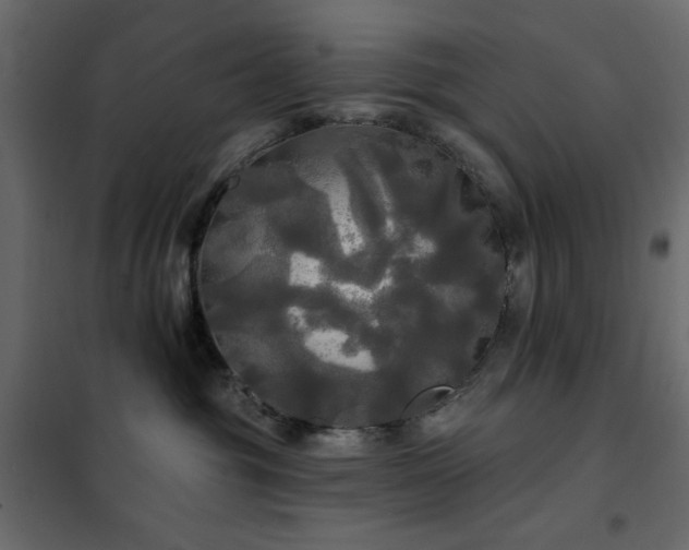 X0000102490381200808081335