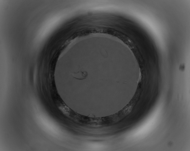 X0000102490382200808081335