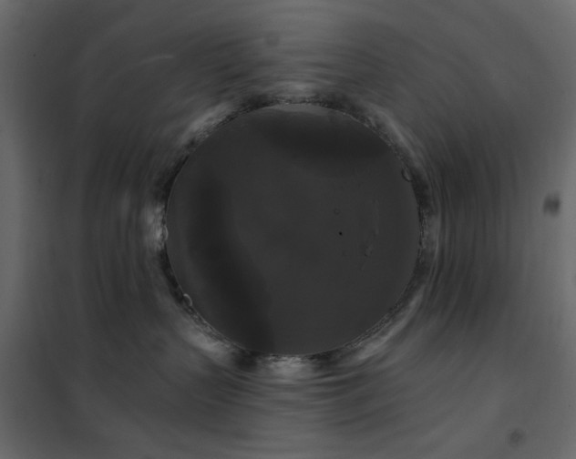 X0000102490383200808081335