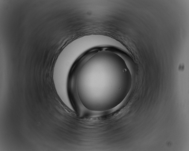 X0000102490384200808081335