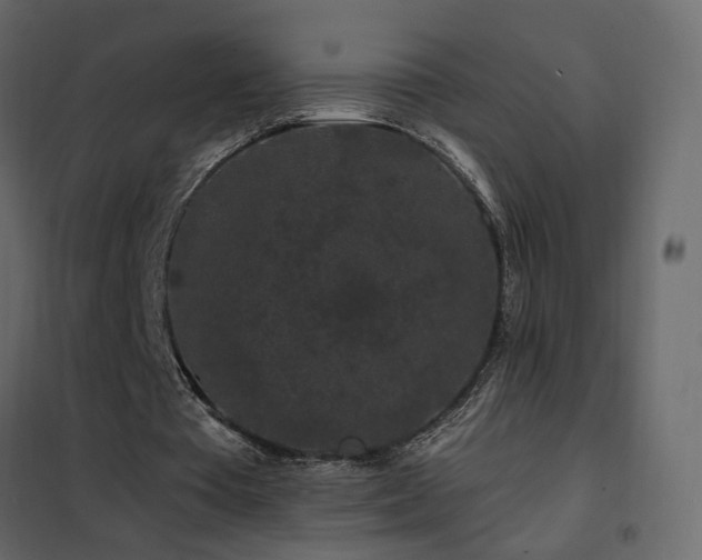 X0000102490385200808081334