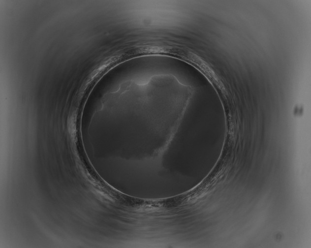 X0000102490386200808081334