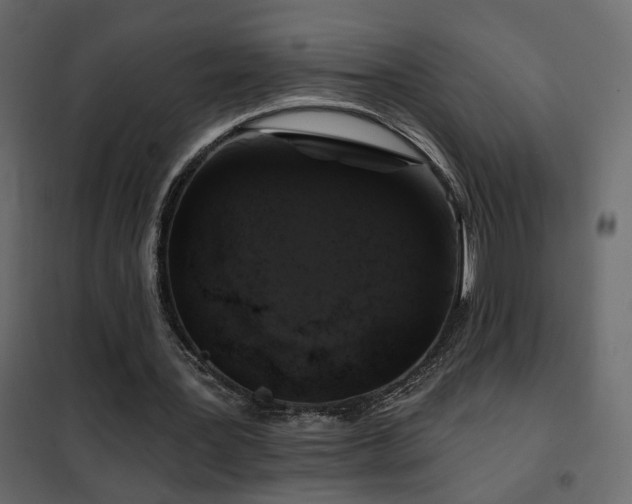 X0000102490387200808081334