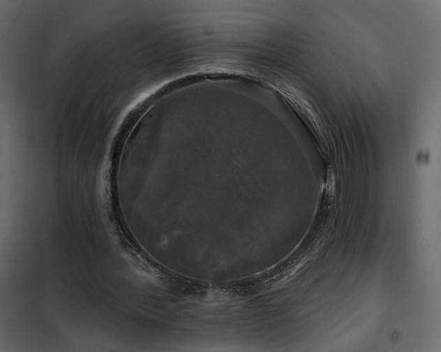 X0000102490388200808081334