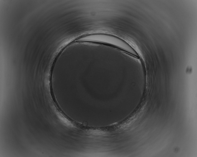 X0000102490389200808081334