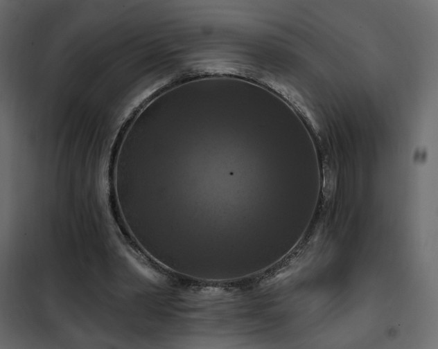 X0000102490390200808081334