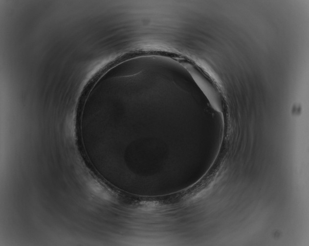 X0000102490391200808081334
