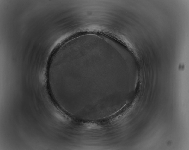 X0000102490392200808081334