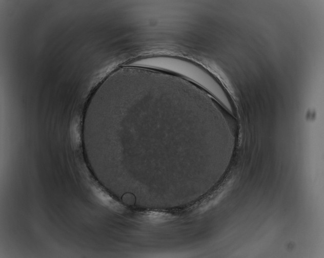 X0000102490393200808081334