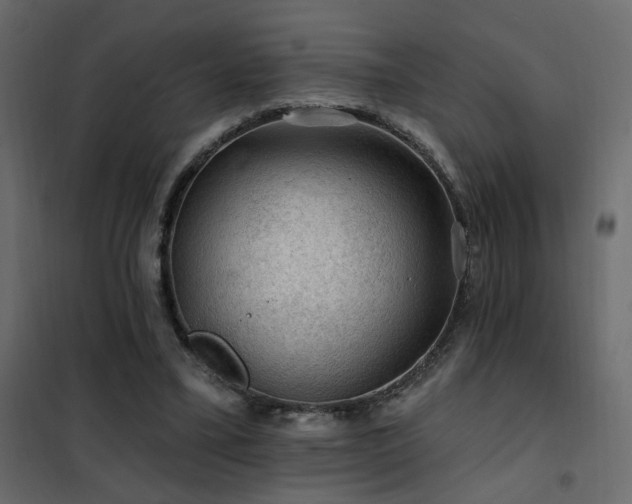 X0000102490395200808081334