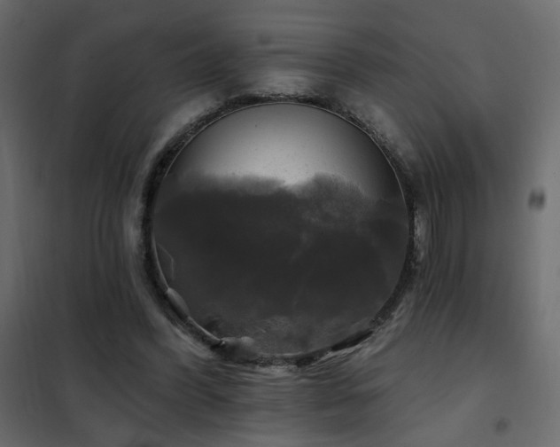 X0000102490396200808081334