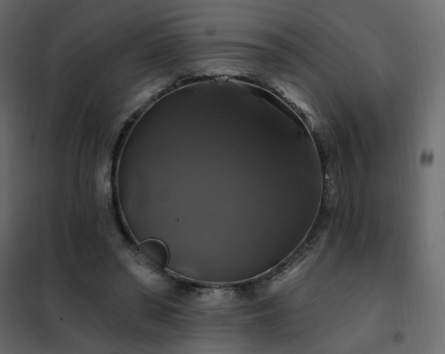 X0000102490398200808081334