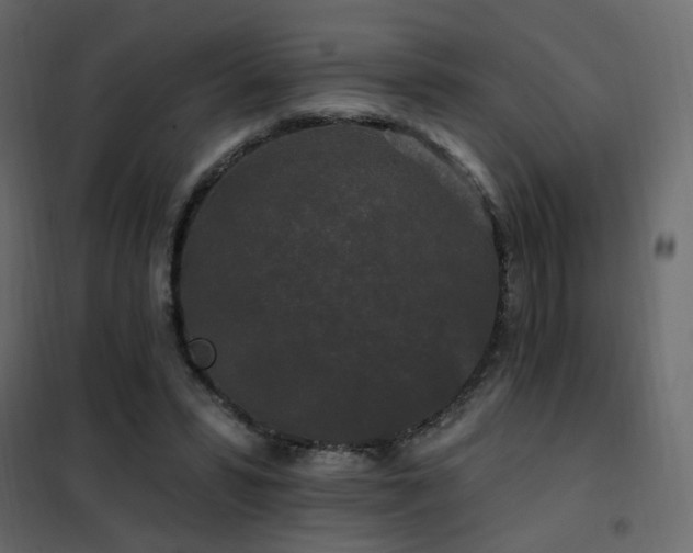 X0000102490399200808081334