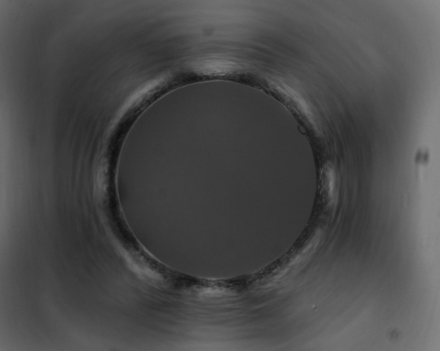X0000102490400200808081334