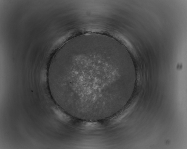 X0000102490401200808081334