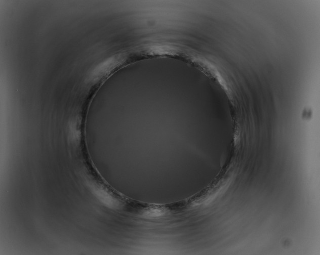 X0000102490402200808081334
