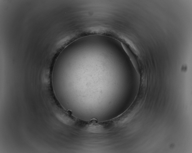 X0000102490403200808081334