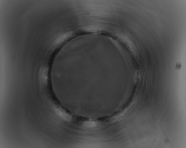 X0000102490404200808081333