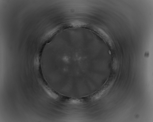 X0000102490405200808081333