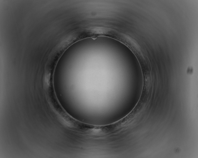 X0000102490406200808081333