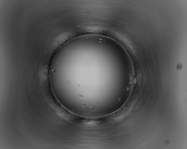 X0000102490407200808081333