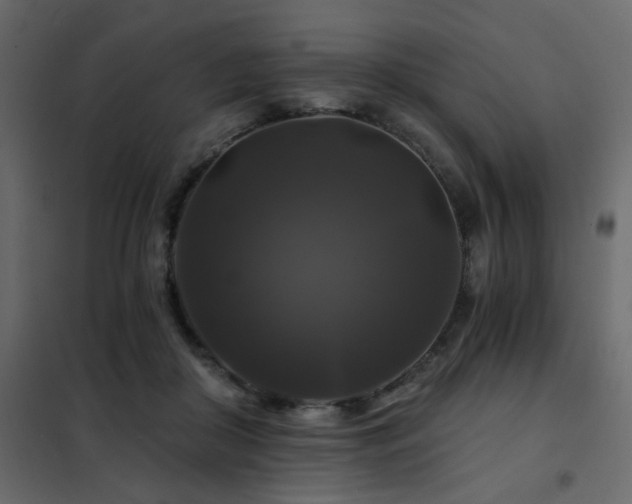 X0000102490410200808081333