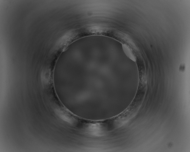 X0000102490411200808081333