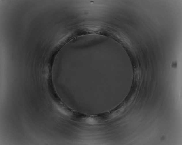 X0000102490412200808081333