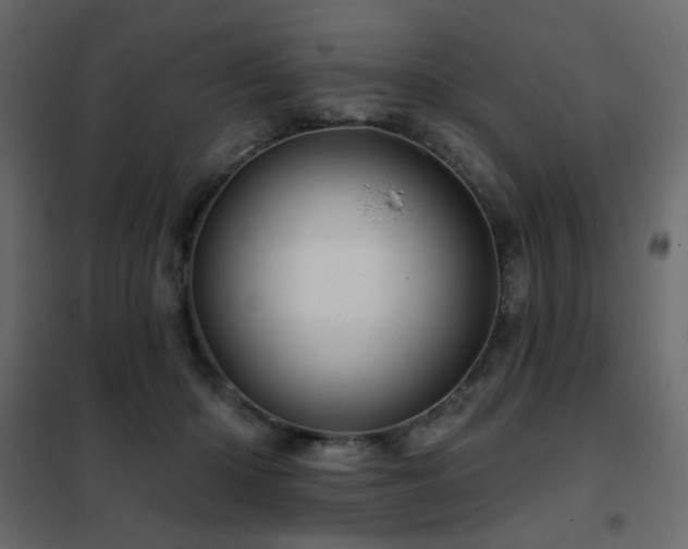 X0000102490414200808081333
