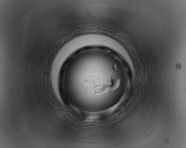 X0000102490415200808081333