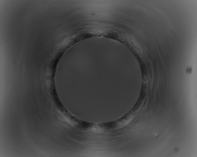 X0000102490416200808081333