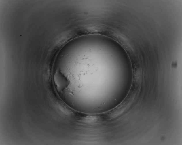 X0000102490418200808081333