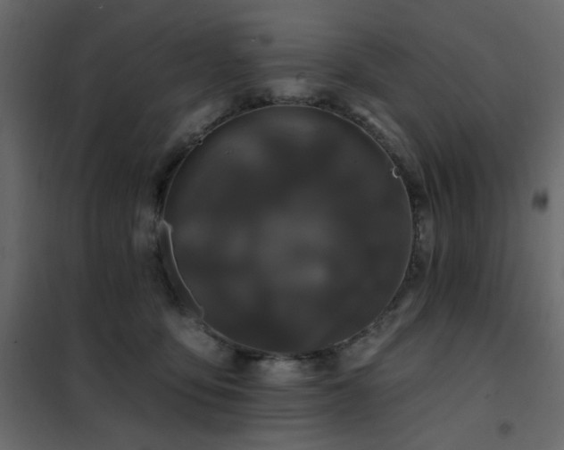 X0000102490419200808081333
