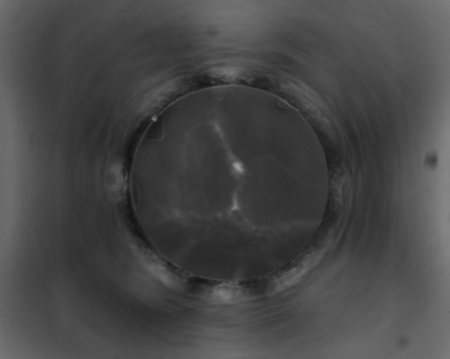 X0000102490420200808081333
